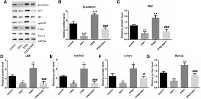 Corrigendum: Total Flavonoids of Rhizoma Drynariae Promotes Differentiation of Osteoblasts and Growth of Bone Graft in Induced Membrane Partly by Activating Wnt/β-Catenin Signaling Pathway